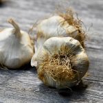L’aglio: un antibiotico naturale